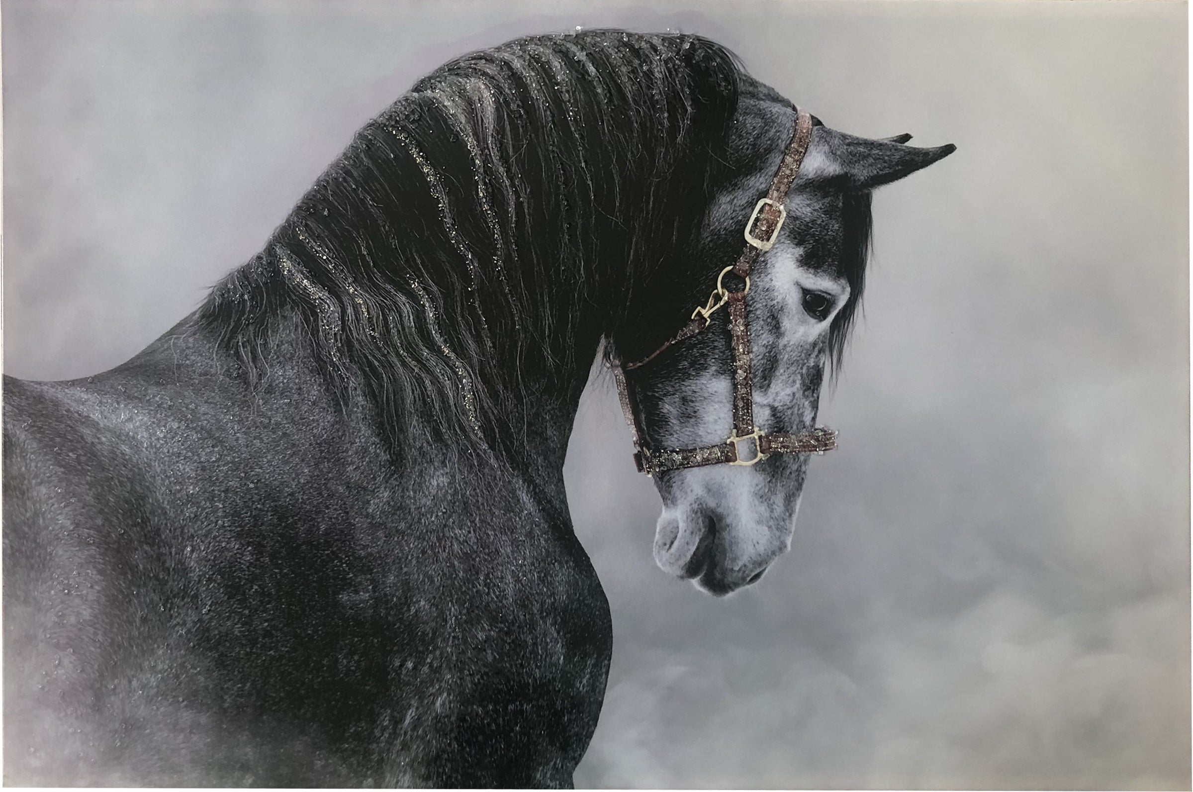 Quadro da parete stampato bianco e nero con cavallo cm 120x80h