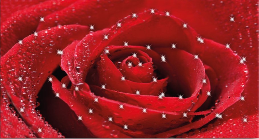 Quadro da muro rettangolare rosa rossa con cristalli stampa su tela in cotone - varie misure