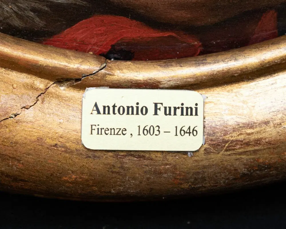 Scuola fiorentina del XVII secolo, San Giovanni Battista - immagine 7