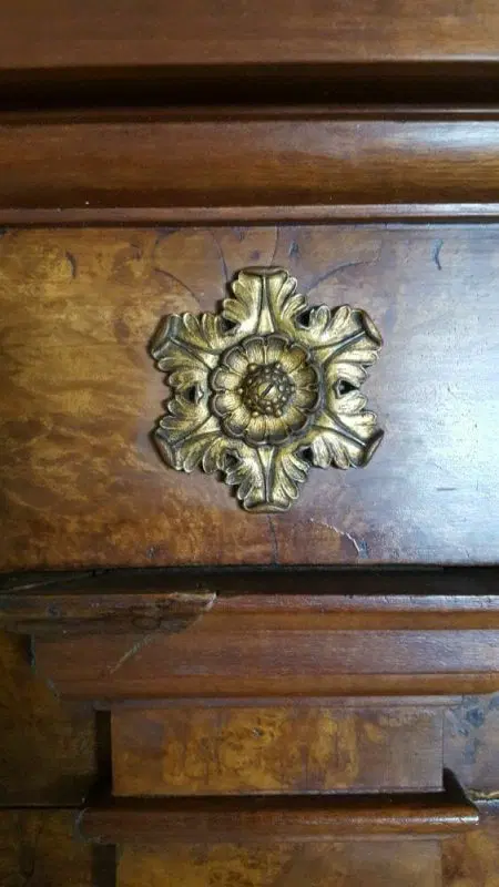 Libreria in radica di noce - immagine 4