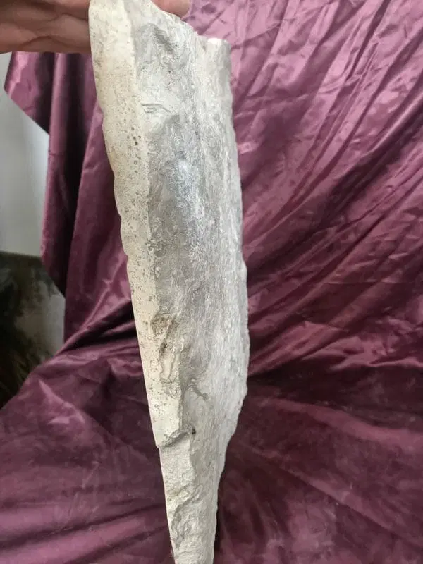 Basso rilievo Fascio Littorio - immagine 3