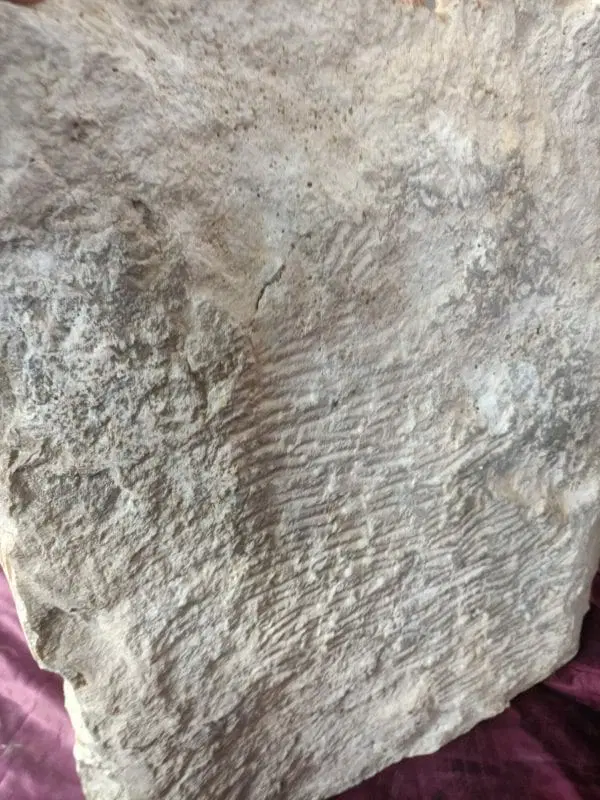 Basso rilievo Fascio Littorio - immagine 4