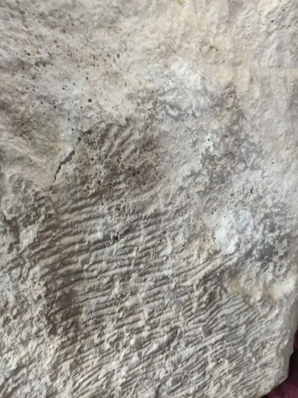 Basso rilievo Fascio Littorio - immagine 5