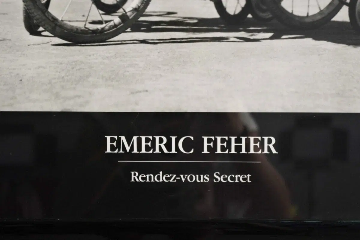 Stampa in bianco e nero. Bambini che si baciano sul triciclo, 2000 - immagine 6
