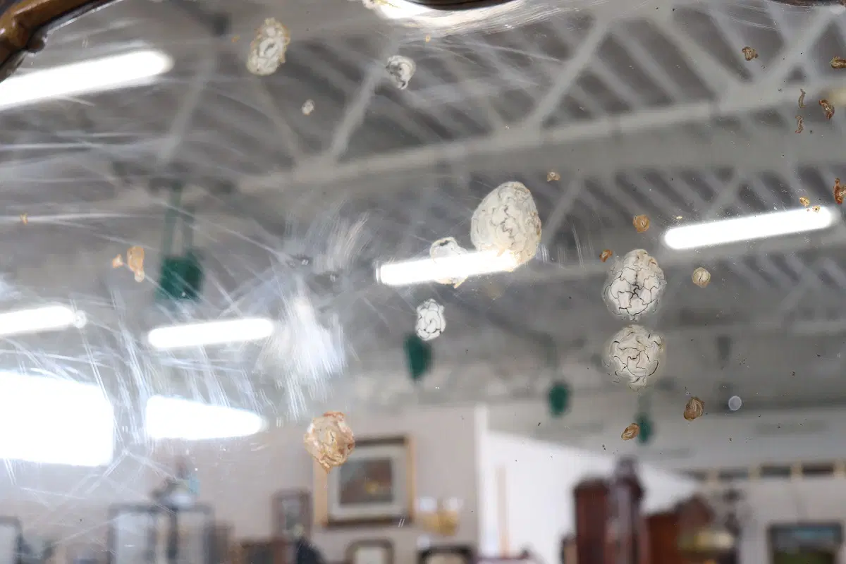 Specchiera in stile antico secolo XX - immagine 8