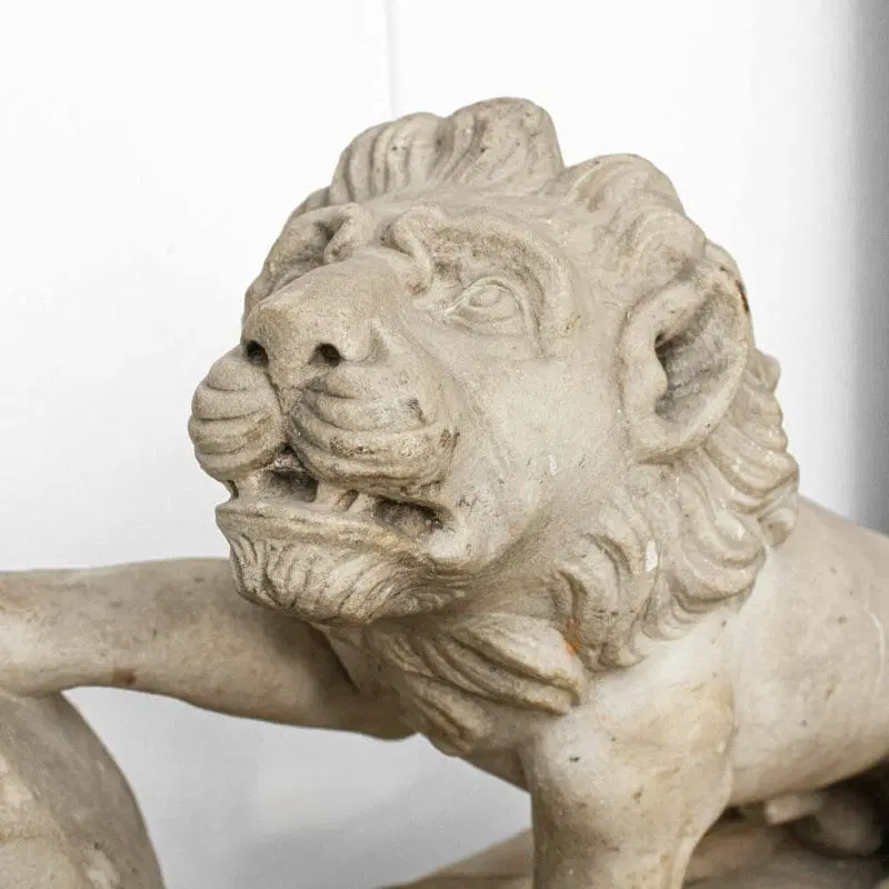 XVII secolo, Scuola fiorentina, Leone con scudo araldico - immagine 3