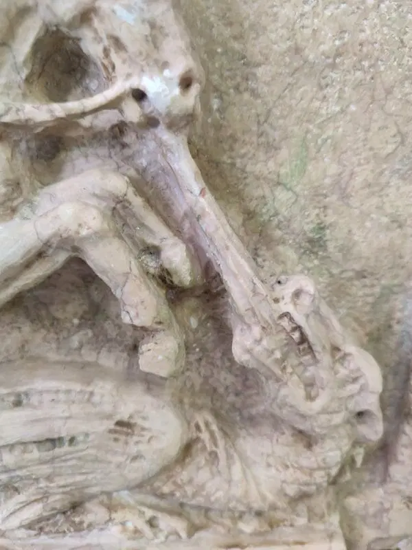 Mattonella raffigurante San Giorgio e il drago in marmo - immagine 3