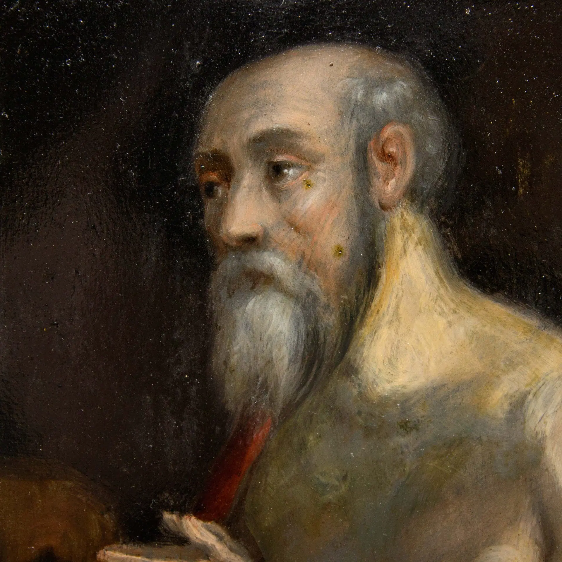 XVII secolo, San Girolamo in preghiera - immagine 2