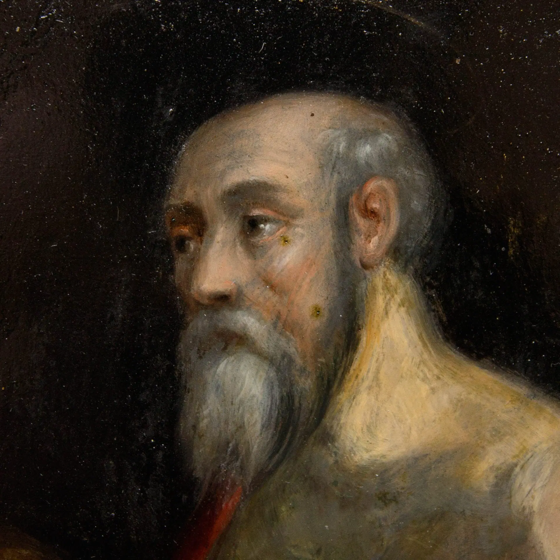 XVII secolo, San Girolamo in preghiera - immagine 6