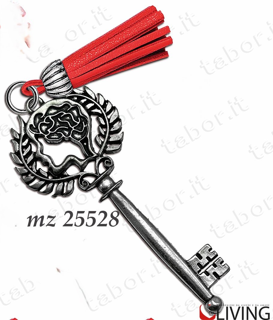 Bomboniera chiave laurea medicina neuroscienze