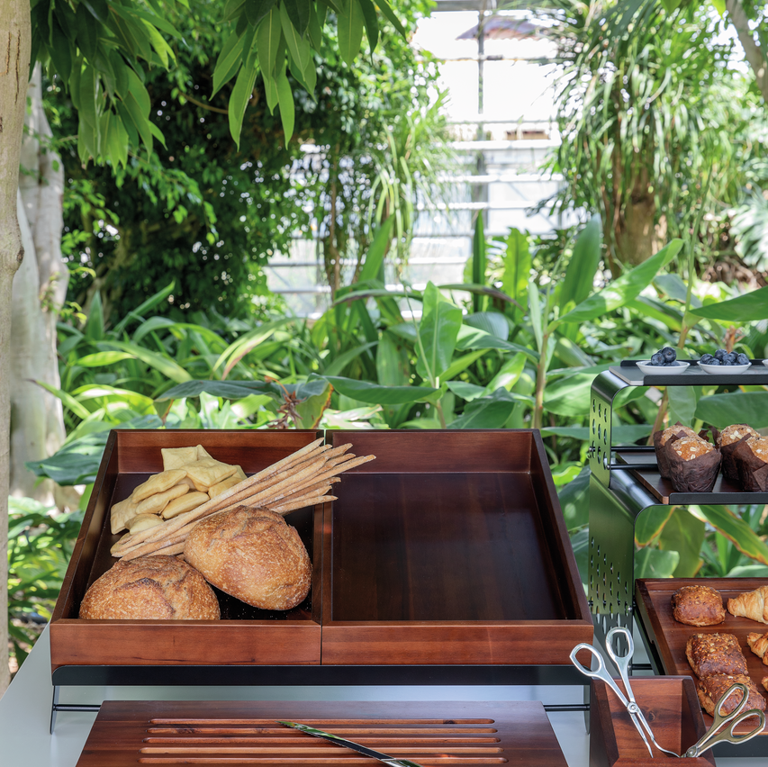 Contenitore gn1/2 radici cm.32,5×26,5x9h - immagine 2