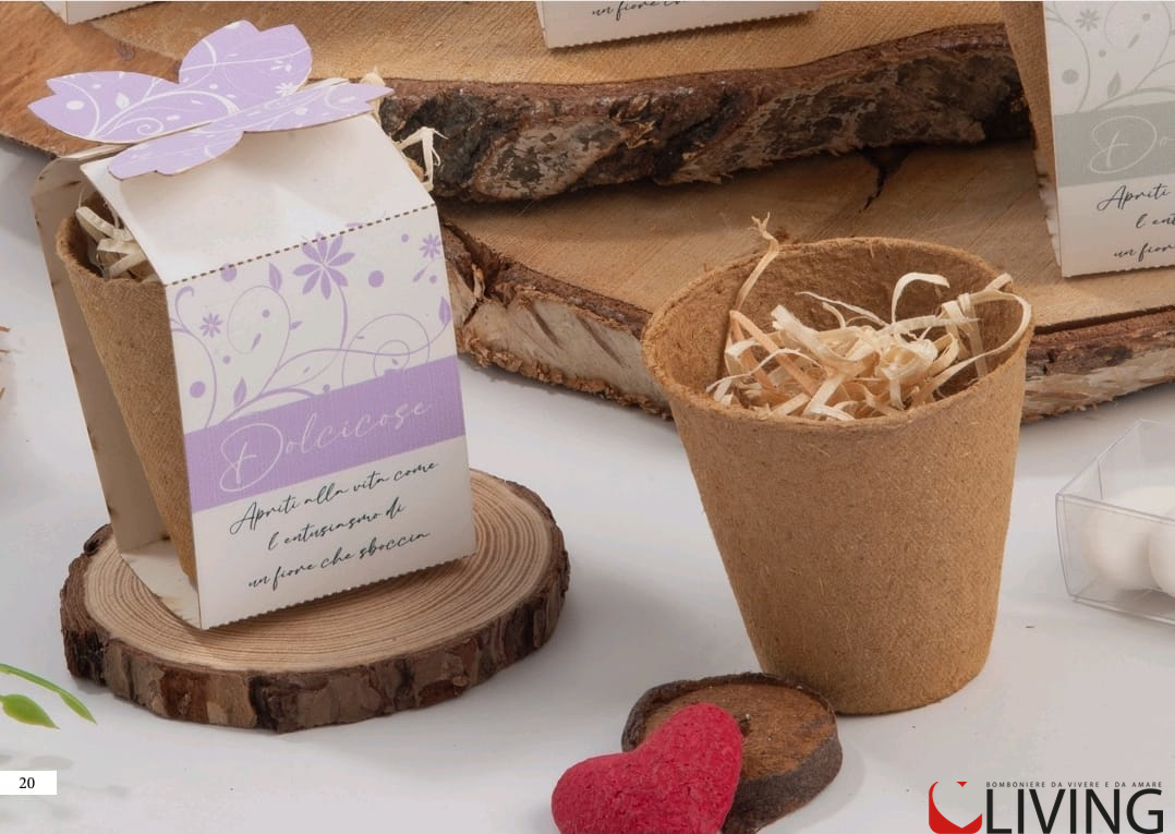 Bomboniera vasetto con kit fioritura eco-friendly fascia celeste - immagine 2