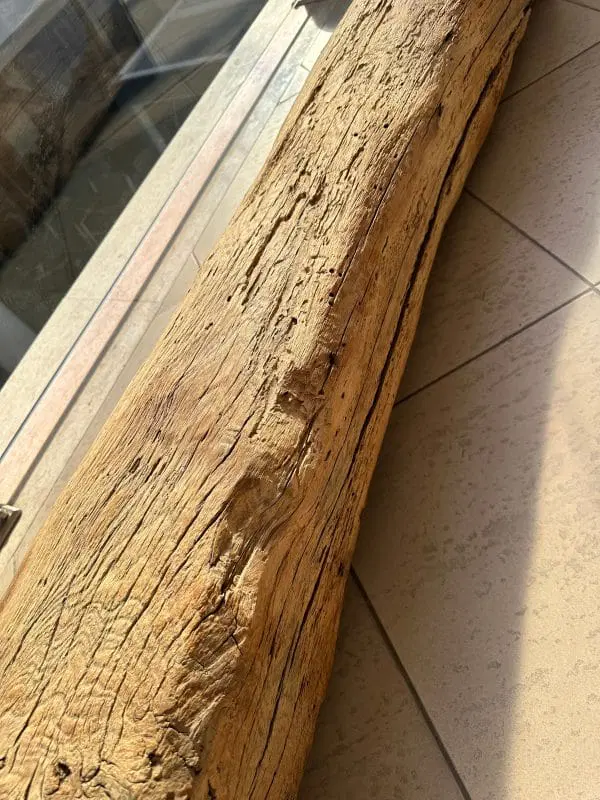 Porta Tv Bean in legno di rovere di Damien Gernay – Mogg - immagine 6