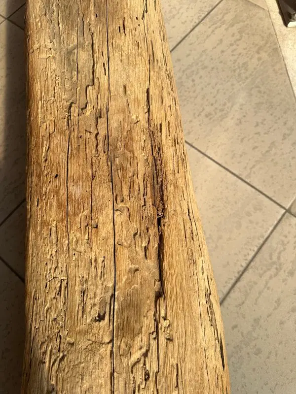 Porta Tv Bean in legno di rovere di Damien Gernay – Mogg - immagine 8