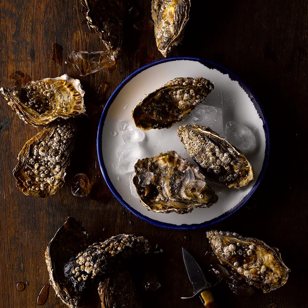 Piatto piano coupe harvest ink cm.21,7 - immagine 3