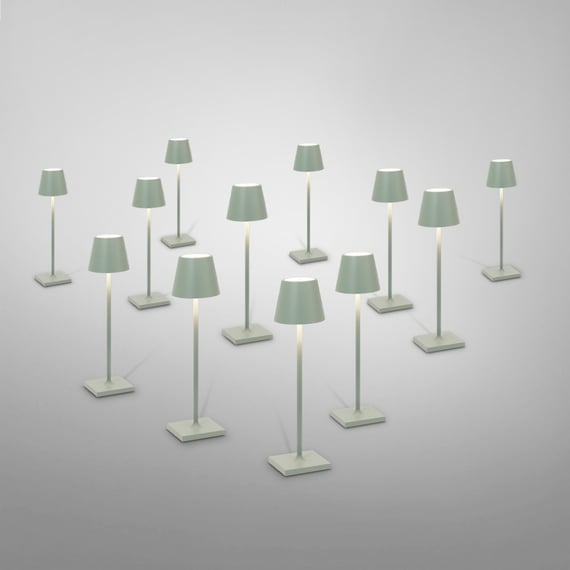 Poldina micro pro salvia - immagine 2